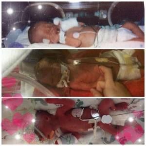 Meet your Posher, Shannon